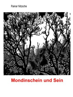 cover image of Mondinschein und Sein